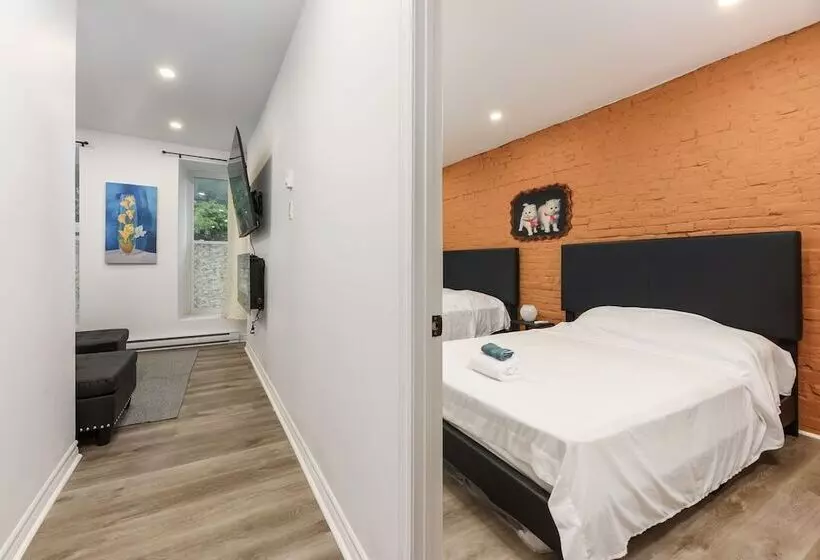 Loft Plus