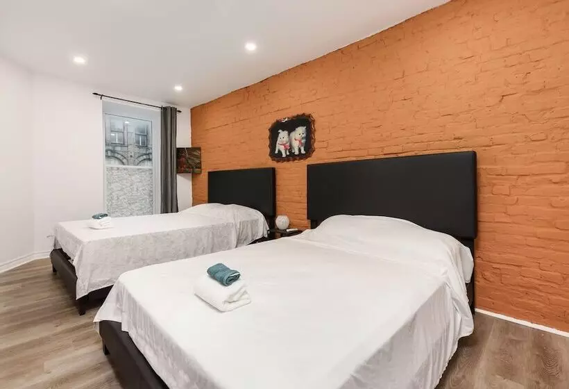 Loft Plus