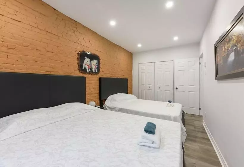 Loft Plus