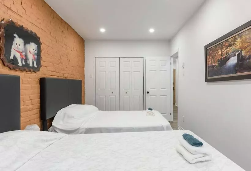 Loft Plus