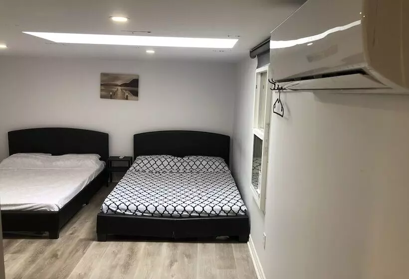 Loft Plus