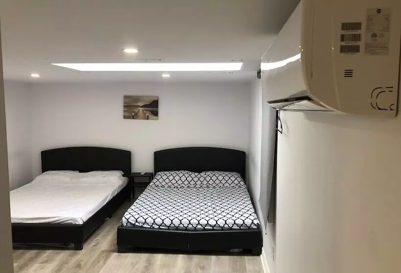 Loft Plus