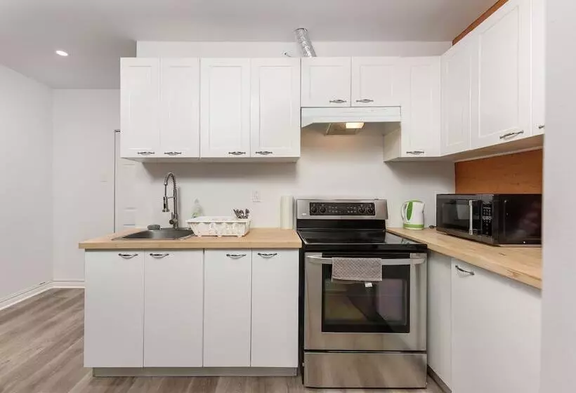Loft Plus