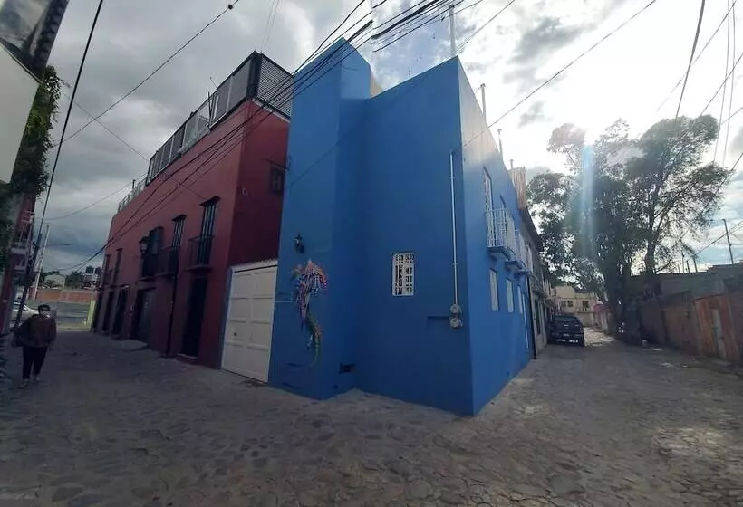 Hostal Guelaguetza Danza De La Pluma
