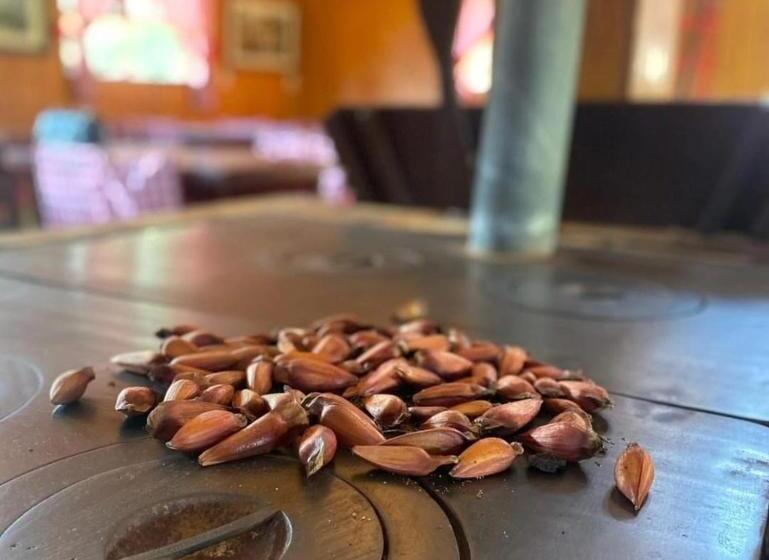 簡易ホテル Pousada água Santa