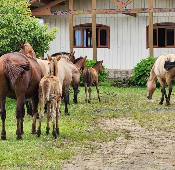 簡易ホテル Pousada água Santa