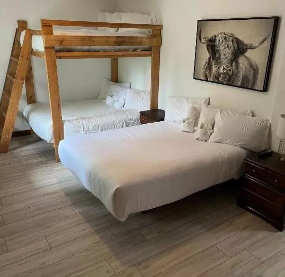 ホテル Auberge De Ferme Neuve