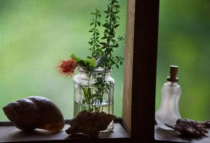 Hotelli Baker Safari Company