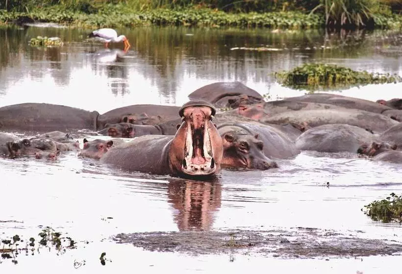 Hotelli Baker Safari Company