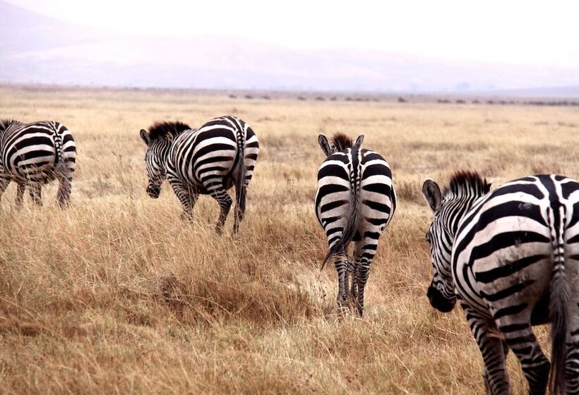 호텔 Baker Safari Company