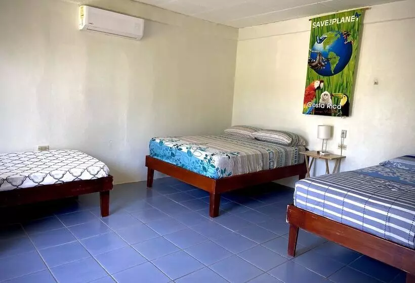 Hotelli Rooms & Pool Macaws