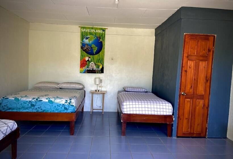 Отель Rooms & Pool Macaws