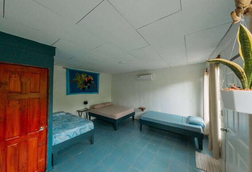 Отель Rooms & Pool Macaws