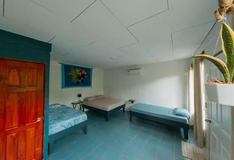 Hotelli Rooms & Pool Macaws