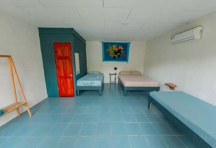 Hotelli Rooms & Pool Macaws