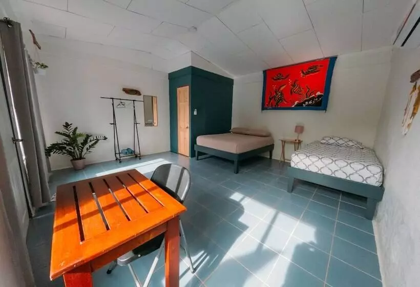 Hotelli Rooms & Pool Macaws