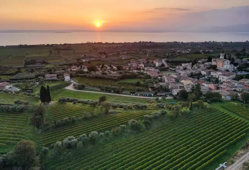 هتل Villa Calicantus