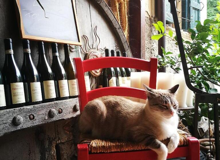 בית מלון כפרי Villa Calicantus