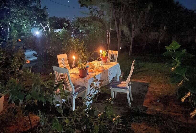 بنسيون Beulah Court Vineyard Guest House