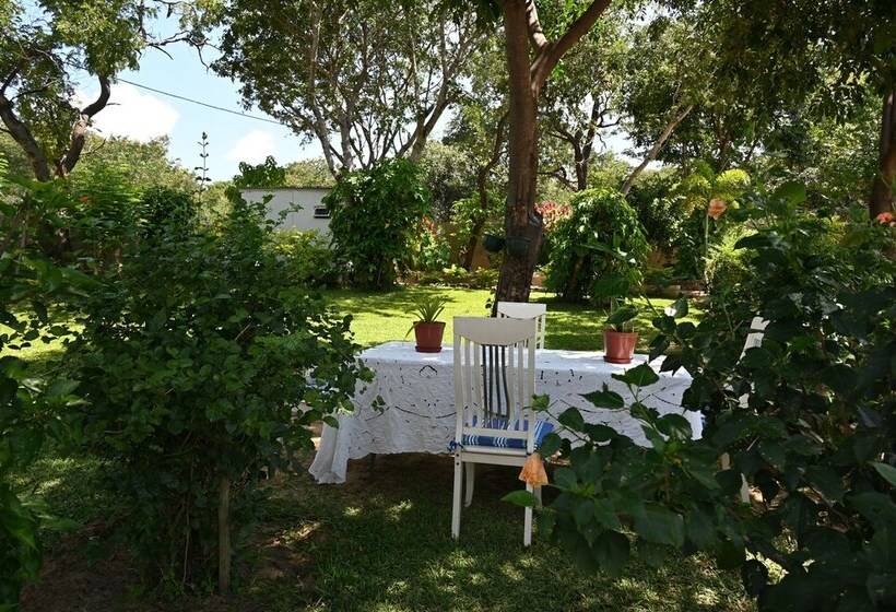 بنسيون Beulah Court Vineyard Guest House