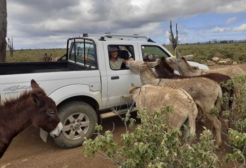 تختخواب و صبحانه Casa Trankilo