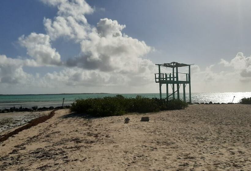 تختخواب و صبحانه Casa Trankilo