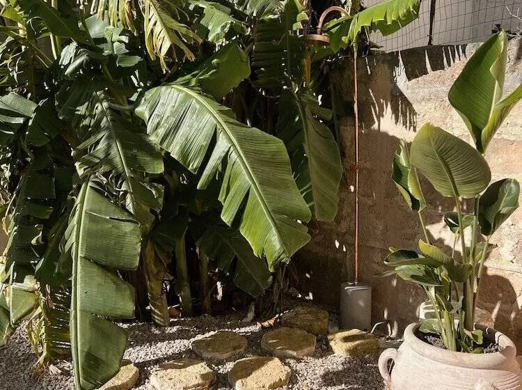 Aamiaismajoitus (B&B) Palazzo Piccinno