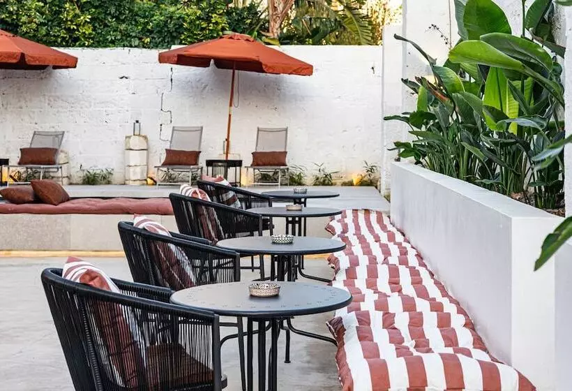 Aamiaismajoitus (B&B) Palazzo Piccinno