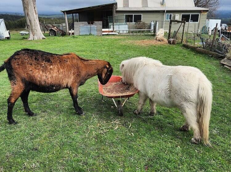 مبيت وإفطار Valley Views Bnb