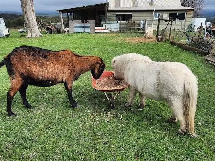 ベッドアンドブレックファースト Valley Views Bnb