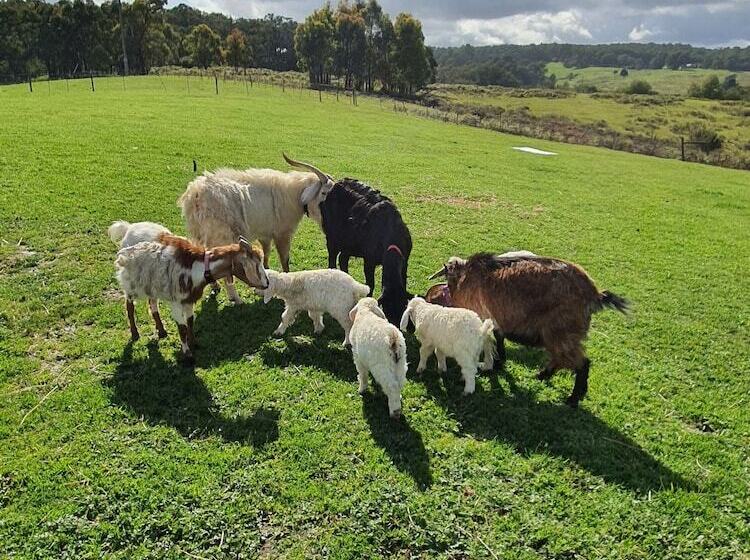 مبيت وإفطار Valley Views Bnb