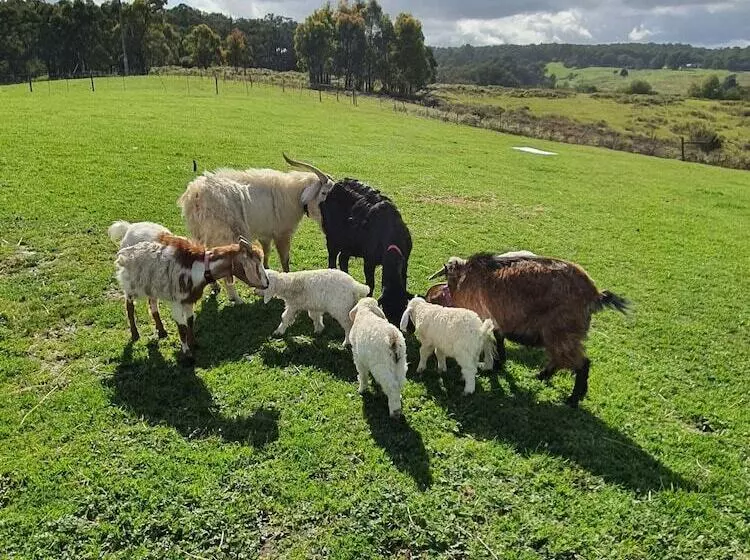 ベッドアンドブレックファースト Valley Views Bnb