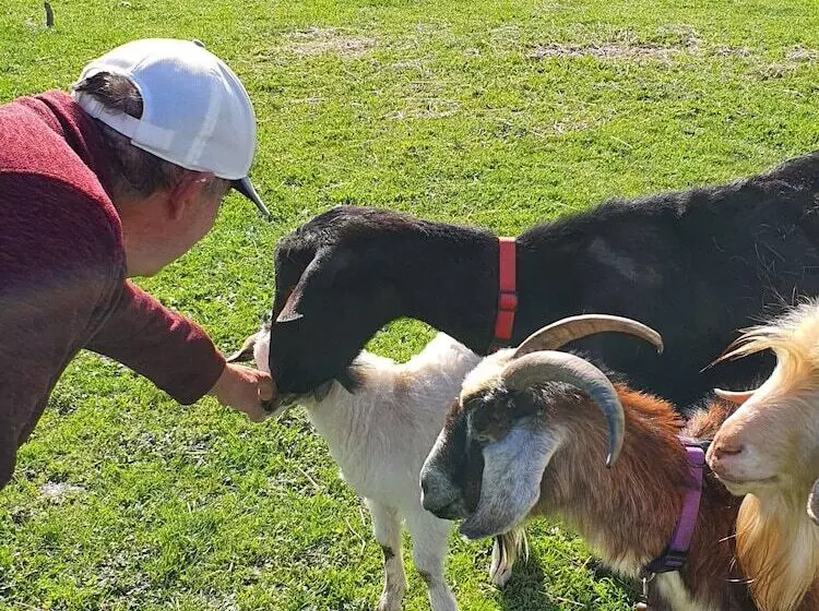 ベッドアンドブレックファースト Valley Views Bnb