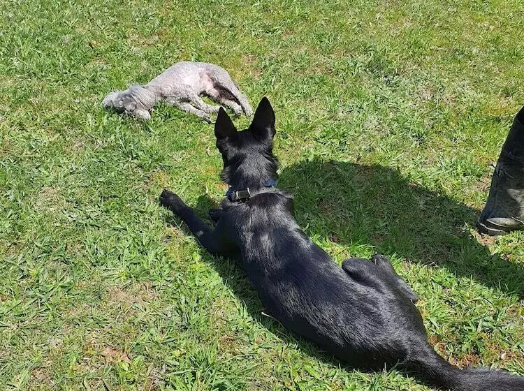 ベッドアンドブレックファースト Valley Views Bnb