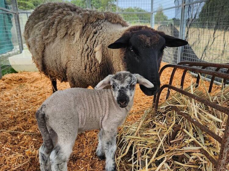 مبيت وإفطار Valley Views Bnb