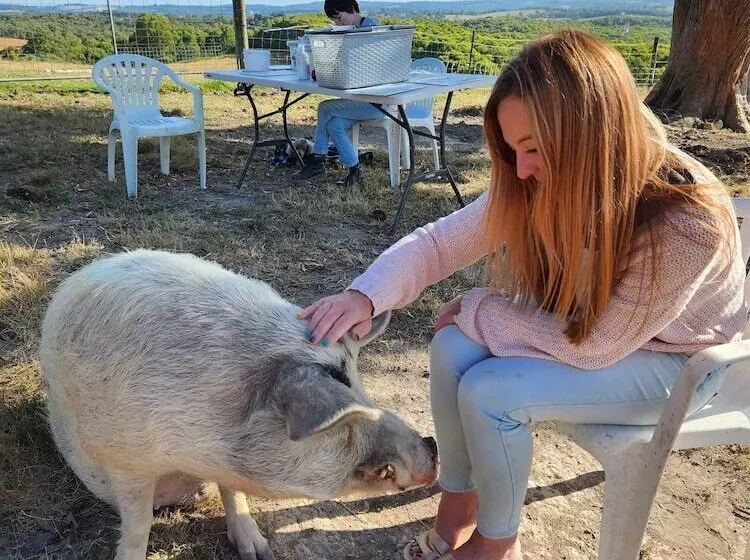 ベッドアンドブレックファースト Valley Views Bnb