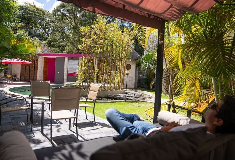 בית מלון כפרי Casa De Las Flores