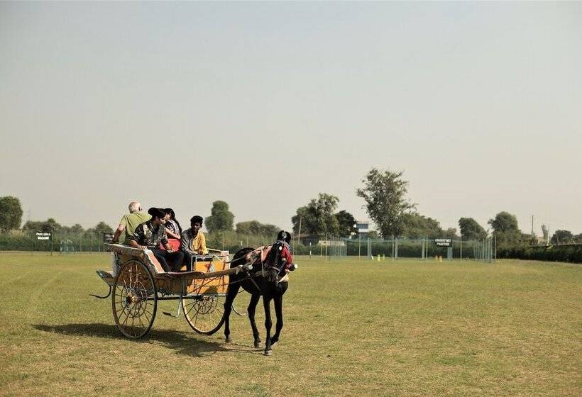 Отель Delta 105 A Military Themed Adventure Park