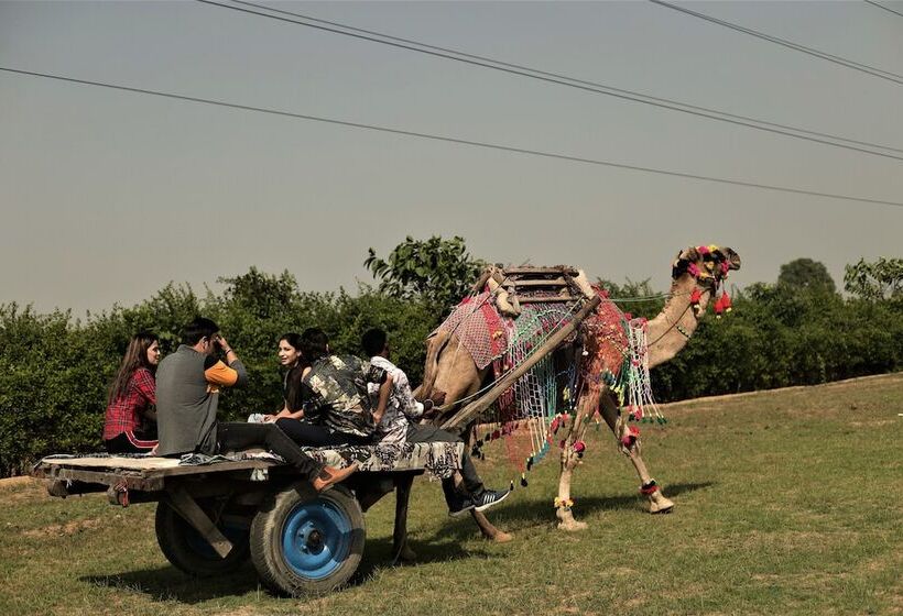 Отель Delta 105 A Military Themed Adventure Park