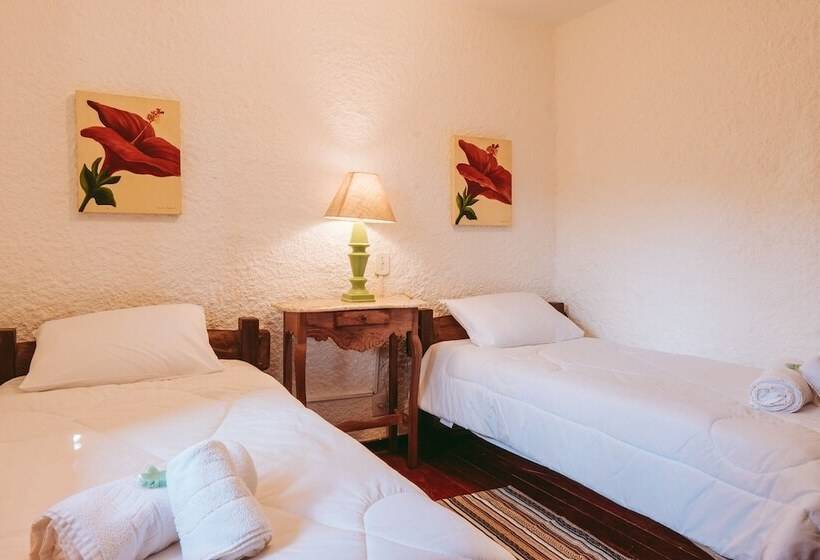 Hôtel Recanto Beija Flor Monte Verde