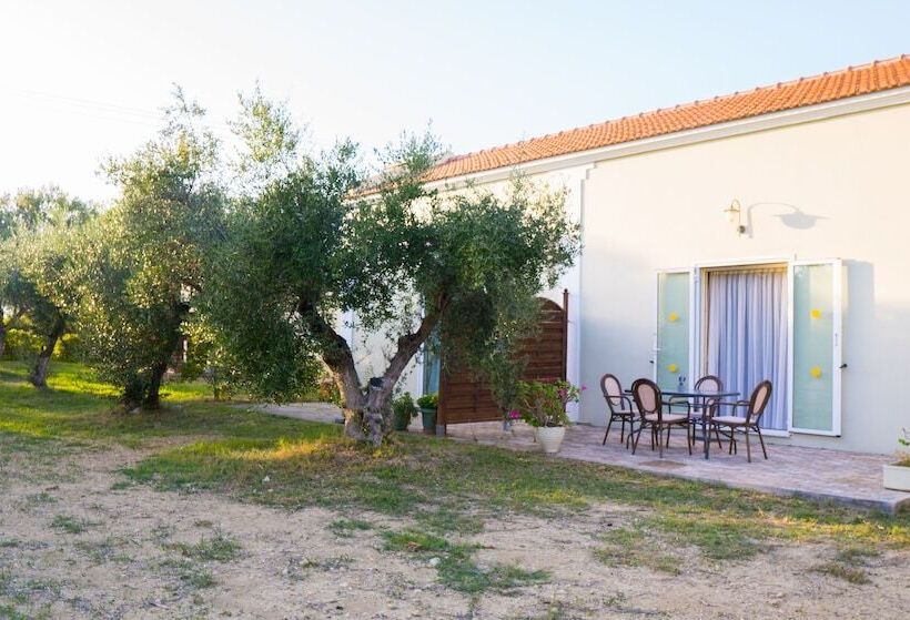 Olive Trees Garden Lixouri