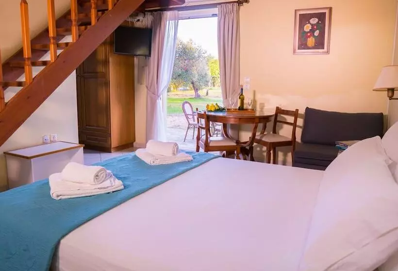 Olive Trees Garden Lixouri