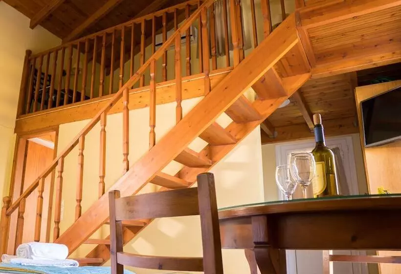 Olive Trees Garden Lixouri