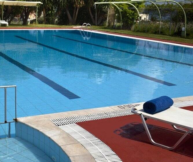 Olive Trees Garden Lixouri