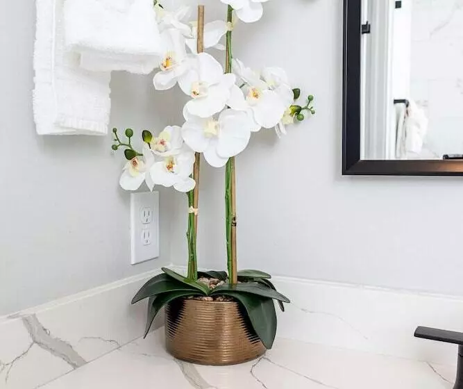 پانسیون Houston Lux Townhome