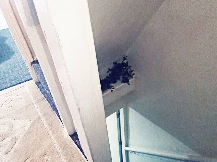 Reşedinta Beautiful 1 Bed House In Leeds