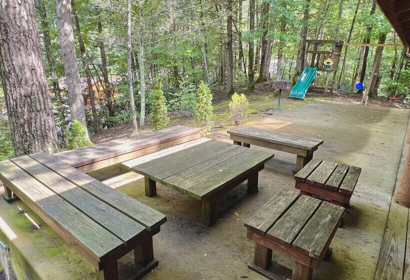 Three Bears Of Gatlinburg