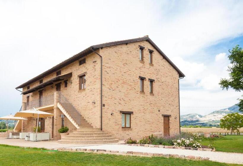 Assisium Agriturismo