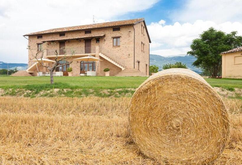 Assisium Agriturismo