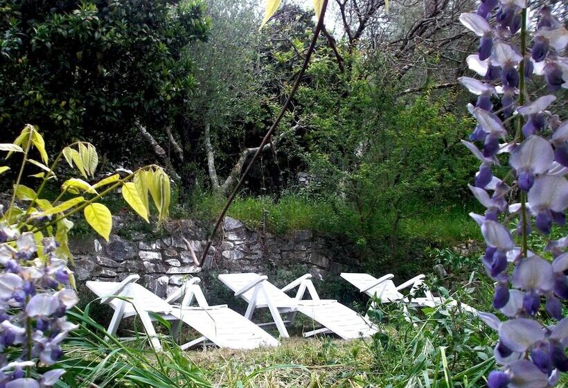 민박 Belle èpoque   La Villa Imperiale